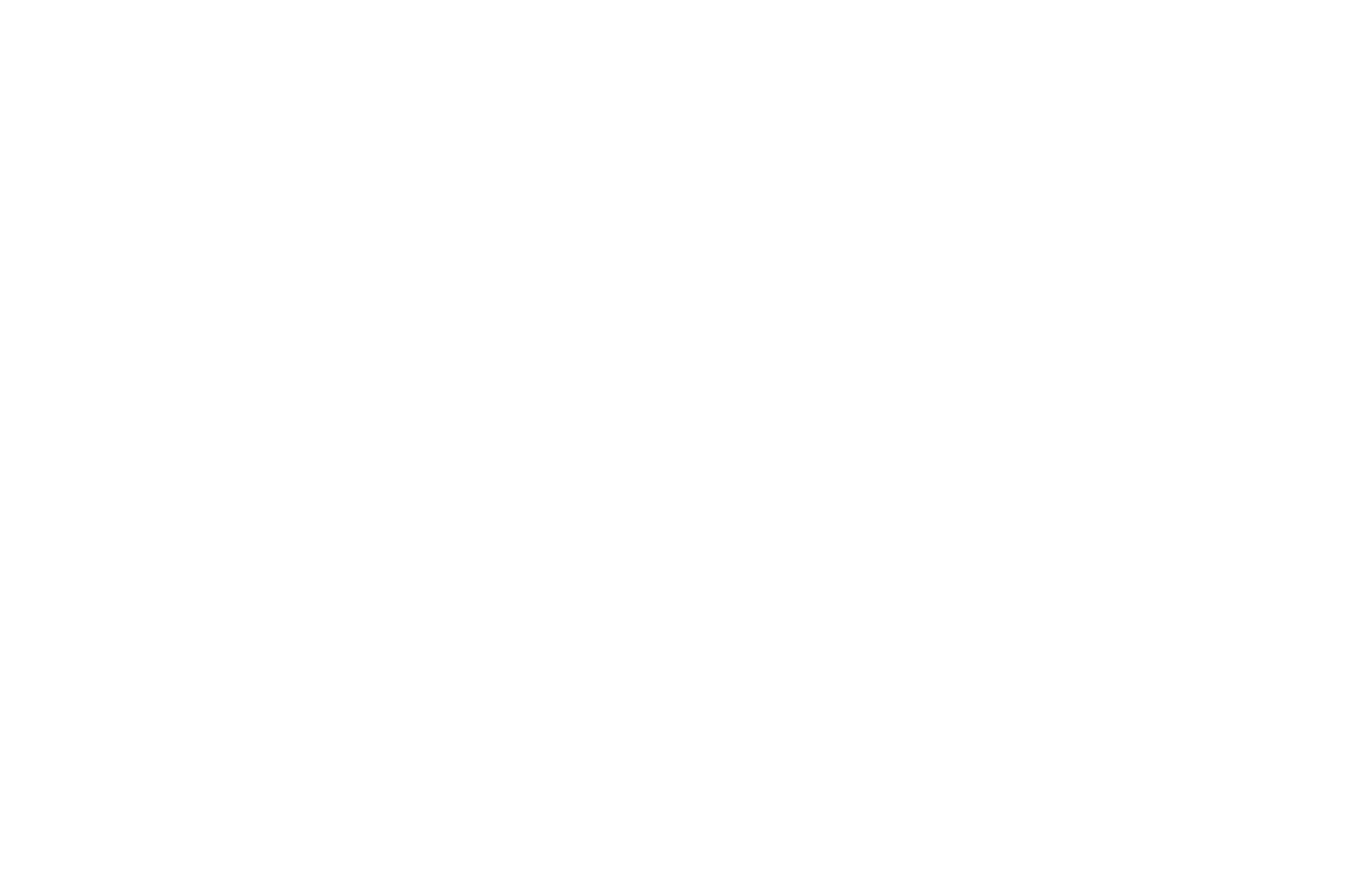 Fritz Guitars Logo